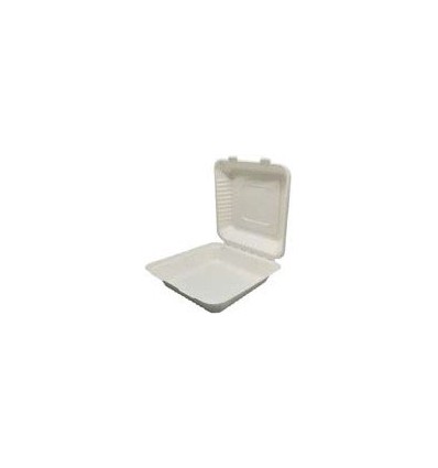 Caja extra grande take away 22x20x5 cm